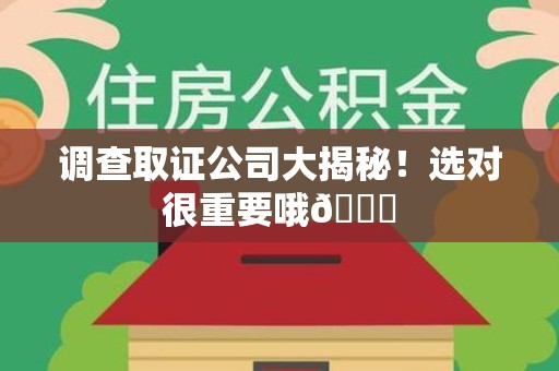 鹰潭调查取证公司大揭秘！选对很重要哦😎