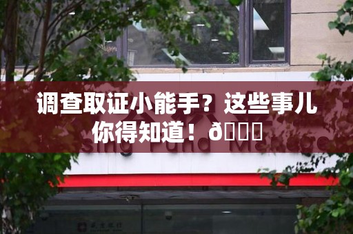 鹰潭调查取证小能手？这些事儿你得知道！😎