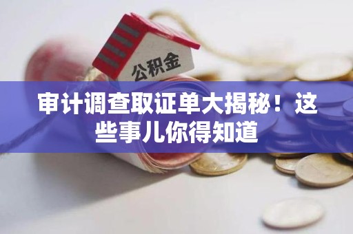 鹰潭审计调查取证单大揭秘！这些事儿你得知道