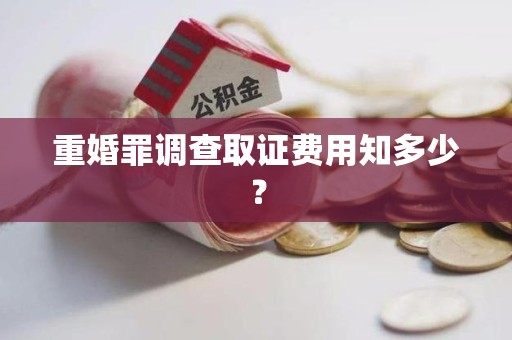 鹰潭重婚罪调查取证费用知多少？