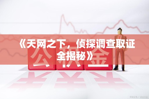 鹰潭《天网之下，侦探调查取证全揭秘》