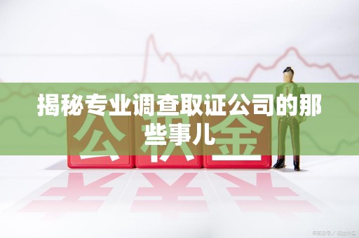 鹰潭揭秘专业调查取证公司的那些事儿