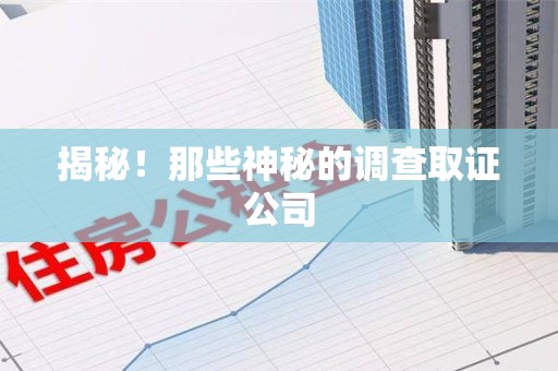 鹰潭揭秘！那些神秘的调查取证公司