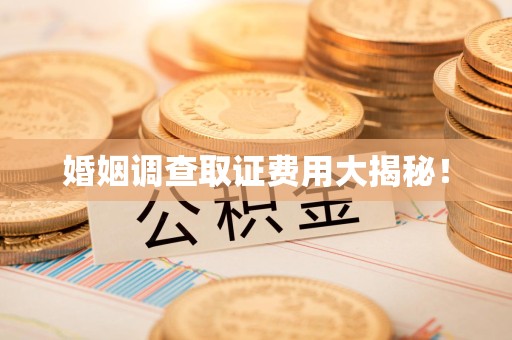 鹰潭婚姻调查取证费用大揭秘！