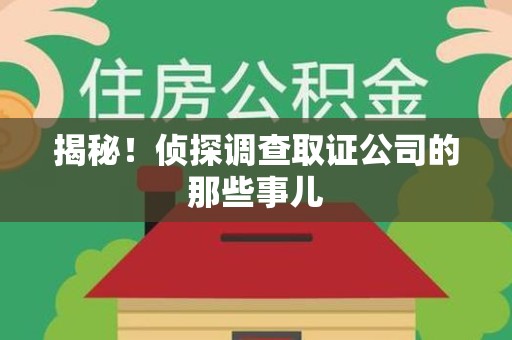 鹰潭揭秘！侦探调查取证公司的那些事儿