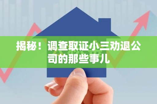 鹰潭揭秘！调查取证小三劝退公司的那些事儿
