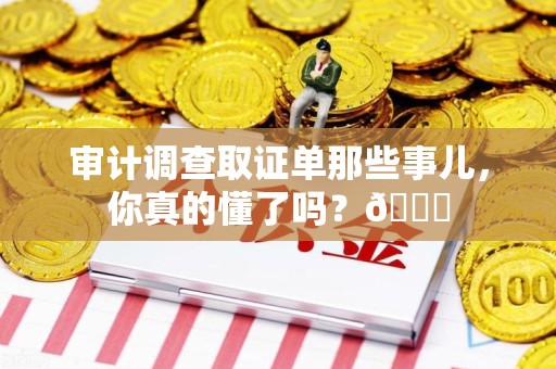鹰潭审计调查取证单那些事儿，你真的懂了吗？😎